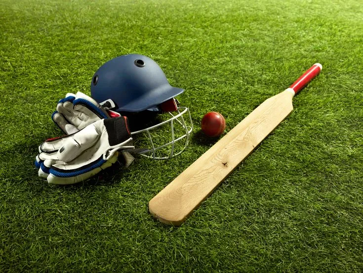 Equipment cricket